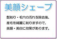 美顔シェービング