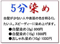 5分染め