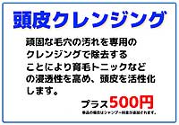 頭皮クレンジング